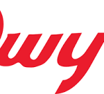 logo 13